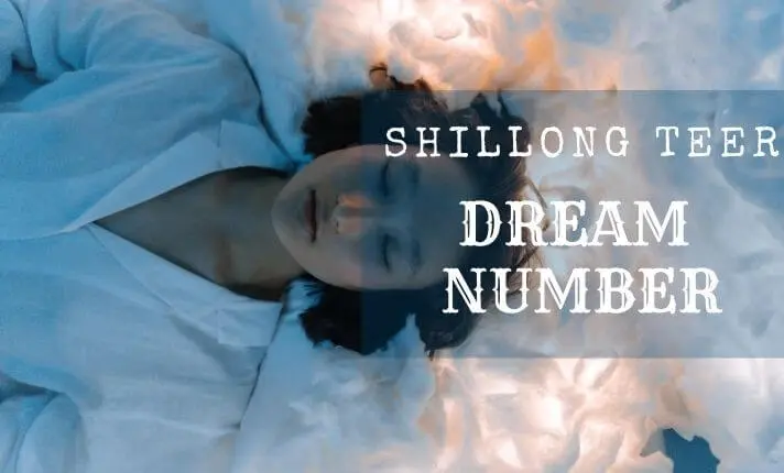 A woman is laying on the bed and dreaming. This dream is converted into Shillong teer dream numbers